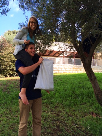 Picking Olives